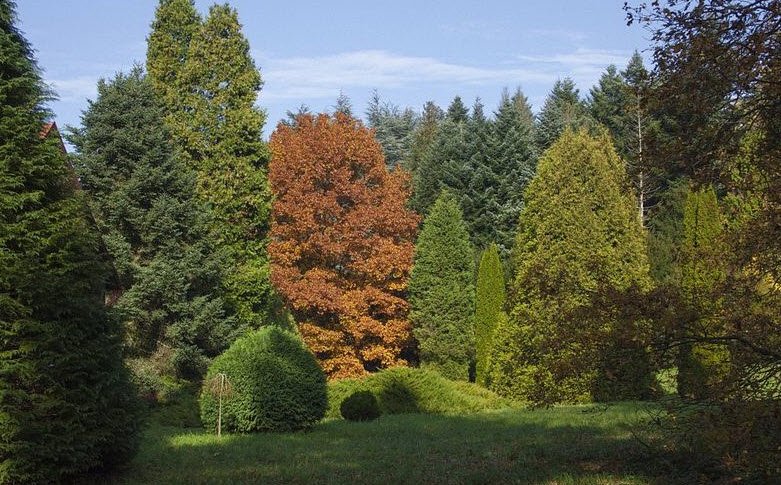 Agostyáni Arborétum, Tata, Hungary, Hungary